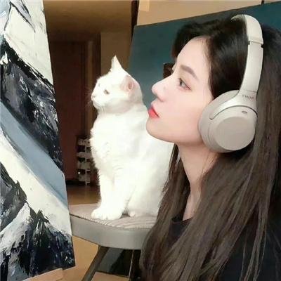 盗贼泰瑞莎
